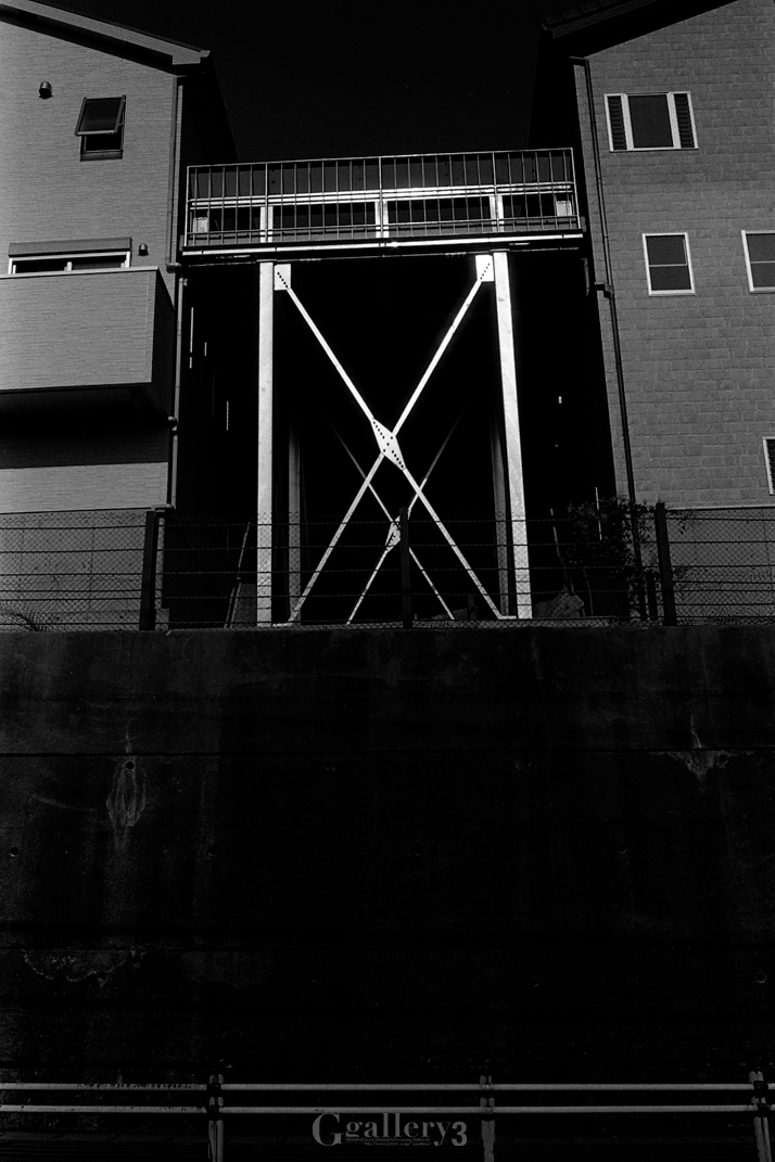 OM-1_35_TRI-X_005-136.jpg