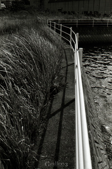 OM-1_35_TRI-X_024-145m.jpg