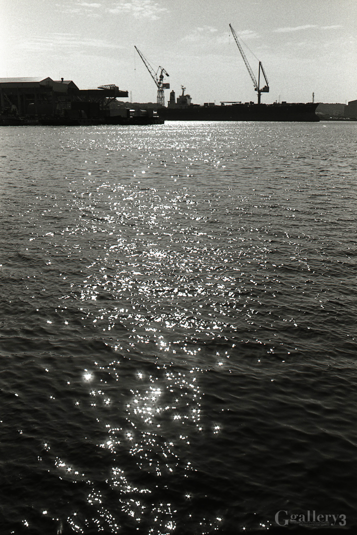 OM-1_35_TRI-X_028-149.jpg