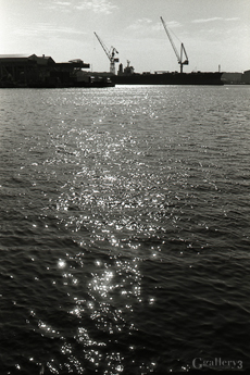 OM-1_35_TRI-X_028-149m.jpg