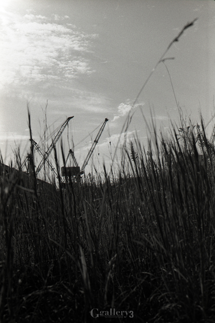 OM-1_35_TRI-X_034-154.jpg