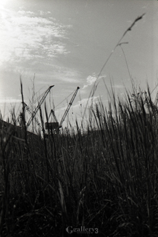 OM-1_35_TRI-X_034-154m.jpg