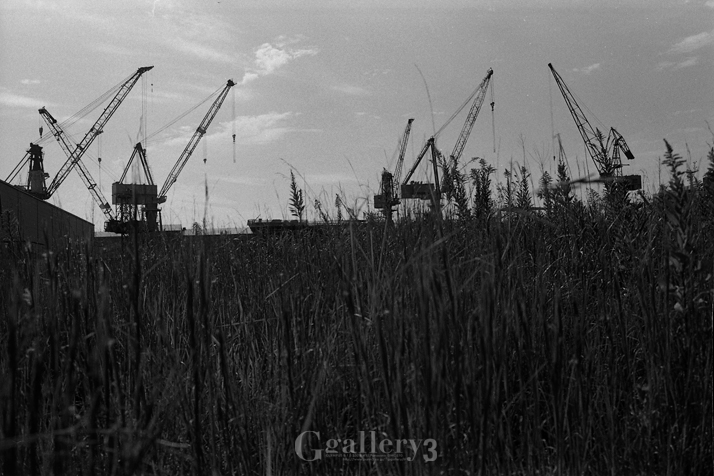 OM-1_35_TRI-X_040-157.jpg