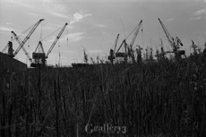 OM-1_35_TRI-X_040-157m.jpg