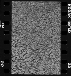 OM_T-MAX100_022m.jpg