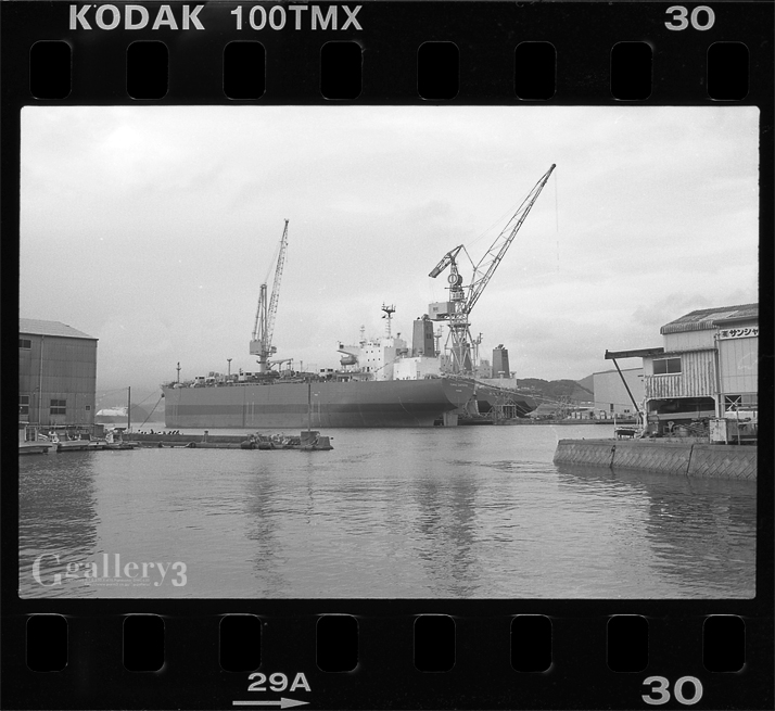 OM_T-MAX100_030.jpg