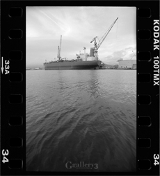 OM_T-MAX100_034m.jpg