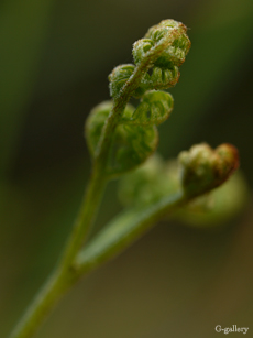 P1000082-L10m.jpg