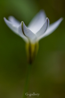 P1000166-LR3.jpg