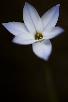 P1000194-LR3.jpg