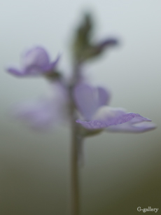 P1000200-L10m.jpg