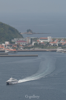 P1000390-L10.jpg