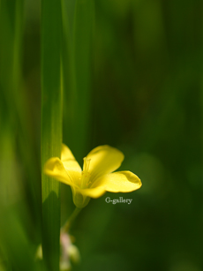 P1010435-L10m.jpg