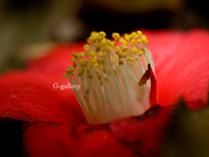 P1010637-L10m.jpg
