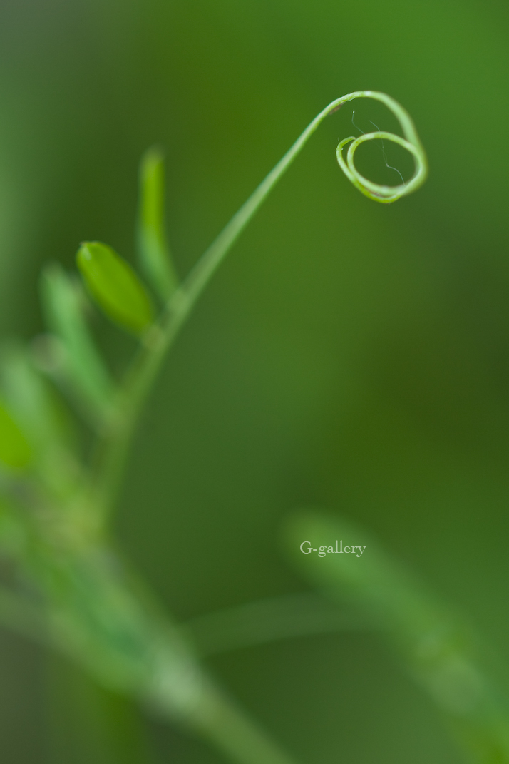 P1010652-L10.jpg