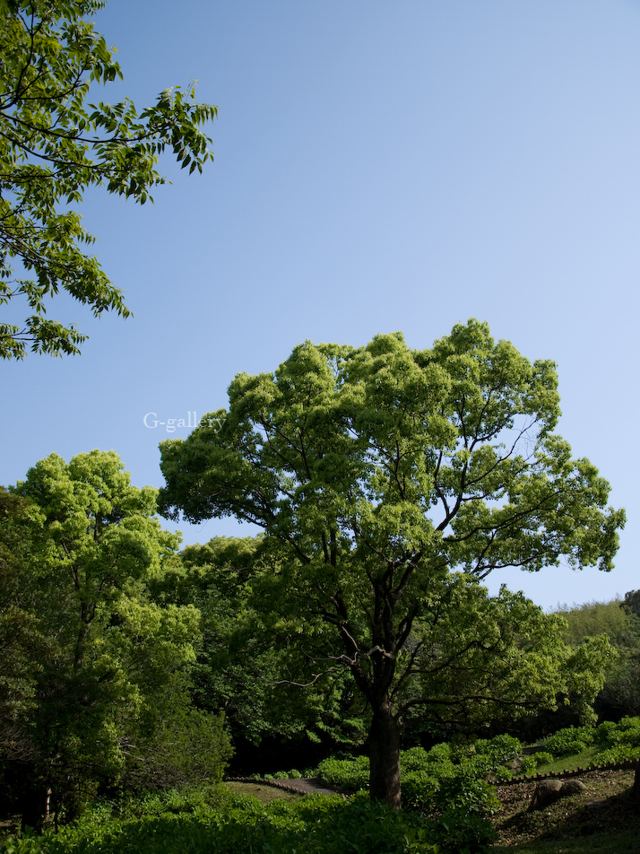 P1010957-L10.jpg