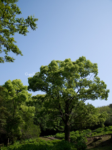 P1010957-L10m.jpg