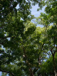 P1010960-L10m.jpg