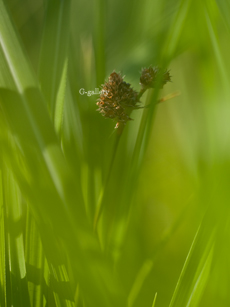 P1020011-L10m.jpg