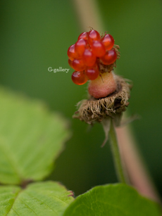 P1020122_L10m.jpg