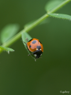 P1020238-L10m.jpg