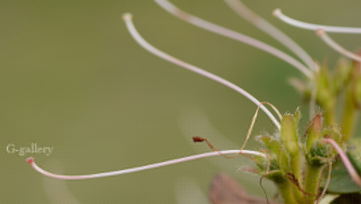 P1020422_L102.jpg