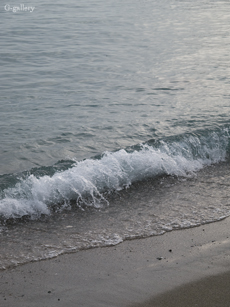 P1020535-L10m.jpg