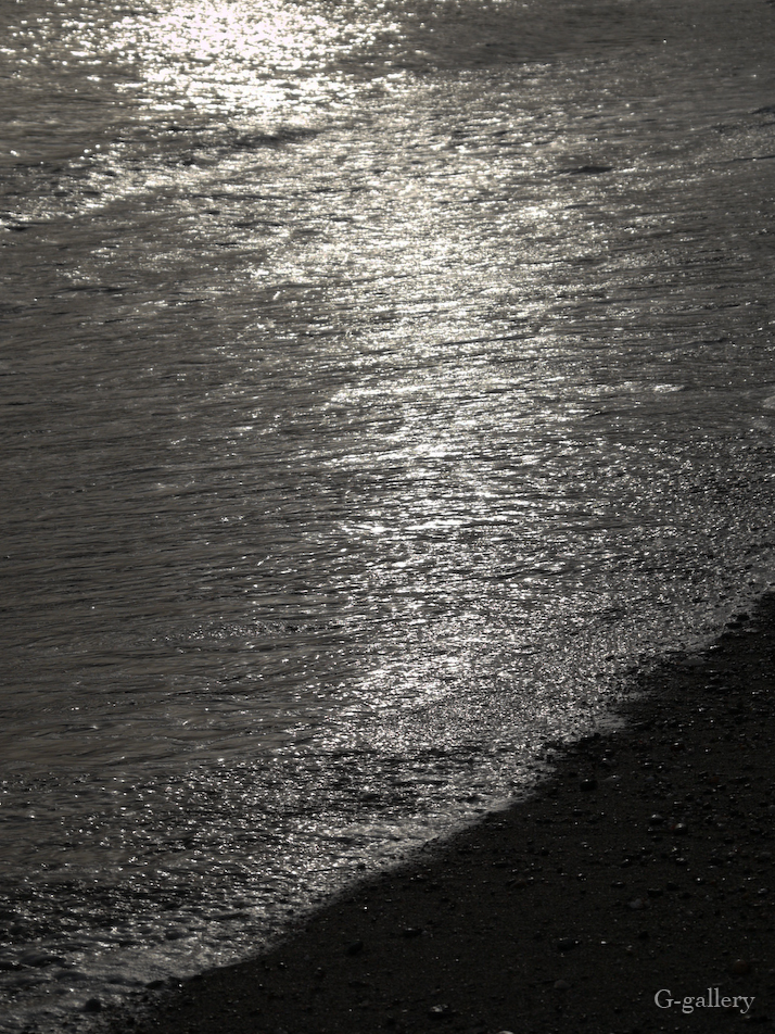 P1020609-L10.jpg