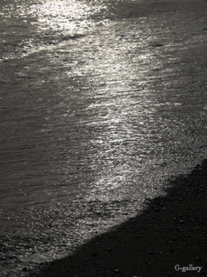 P1020609-L10m.jpg