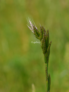 P1020850-L10m.jpg