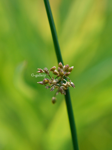 P1020861-L10m.jpg