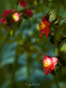 P1056033_LR.jpg