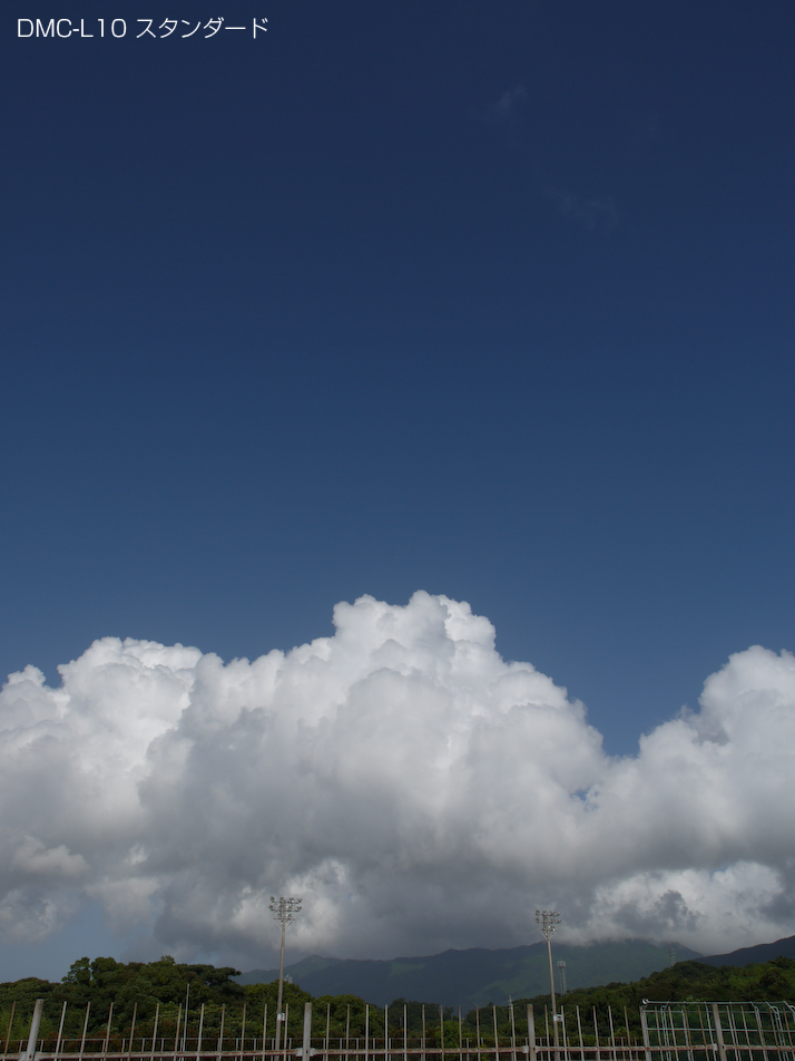 P1060065_standard.jpg