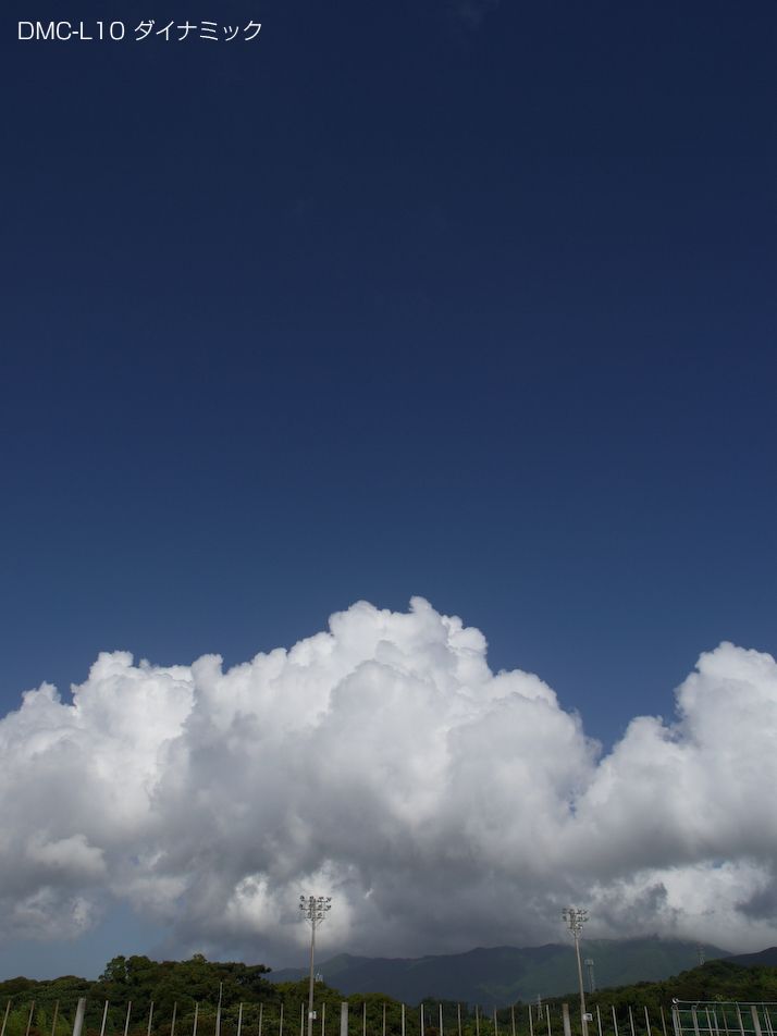 P1060068_dynamic.jpg
