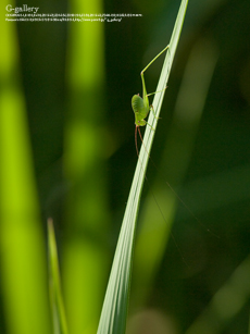 P1060152_L10m.jpg