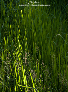 P1060191_L10m.jpg