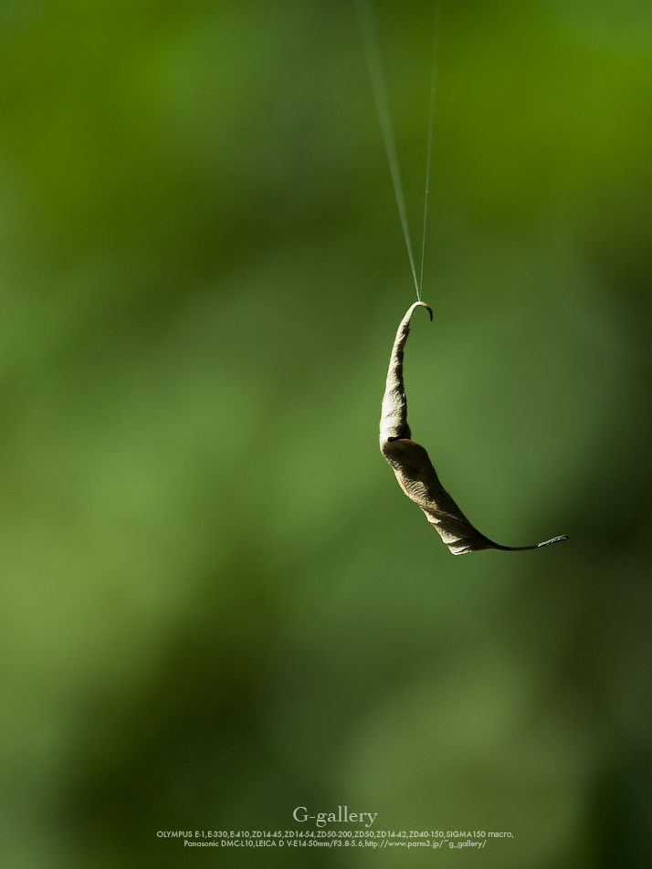P1060316-2_L10.jpg