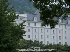 P1060452-2L10m.jpg