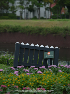 P1060457_L10m.jpg