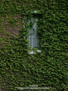 P1060463_L10m.jpg
