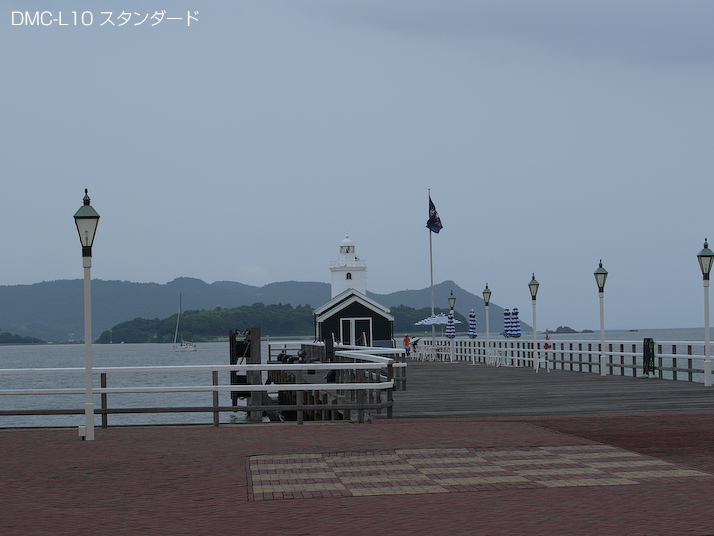 P1060515-2standard.jpg