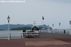 P1060515-8_L10m.jpg