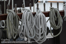P1060536-2L10m.jpg