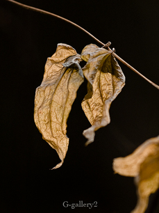 P1066119_LR.jpg