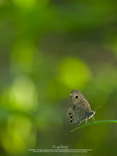 P1070020-L10m.jpg