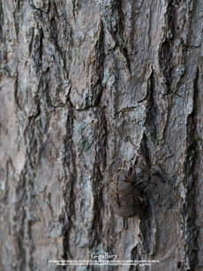 P1070108-1m.jpg