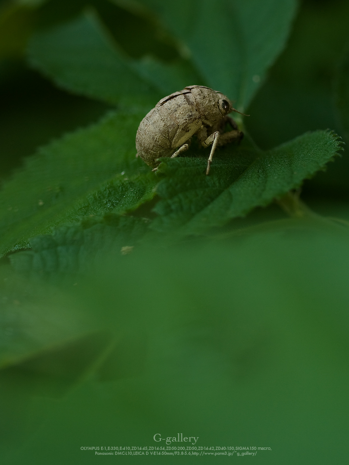 P1070125-1.jpg