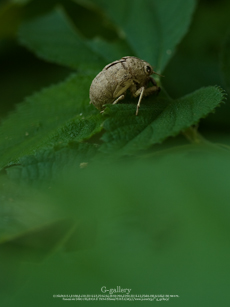 P1070125-1m.jpg