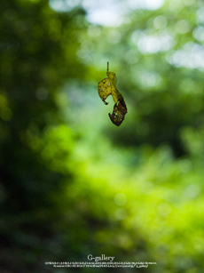 P1070363-3m.jpg