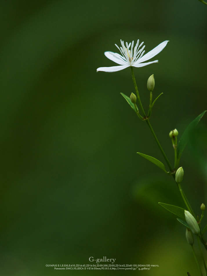 P1070421-2.jpg